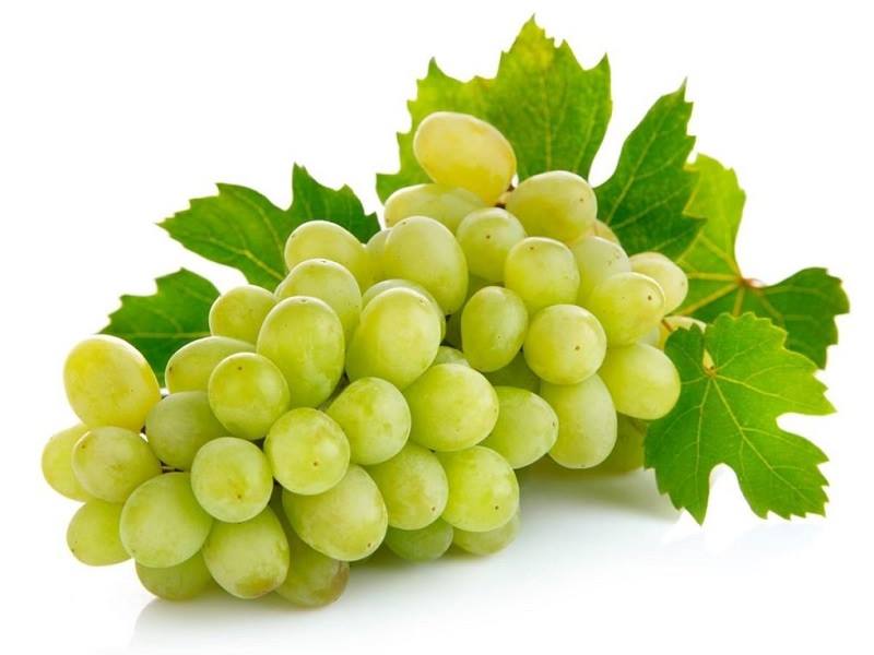 Green Grape fruit | সবুজ আঙ্গুর ফল